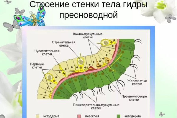 Ссылки на кракен com